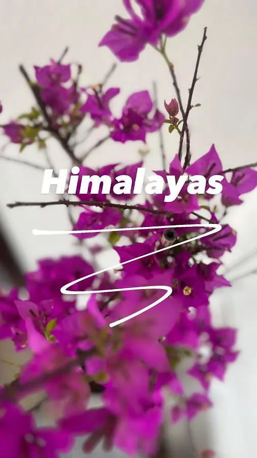Hotel Himalayas Gjirokastër Pensión